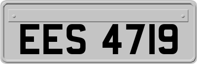 EES4719