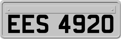 EES4920