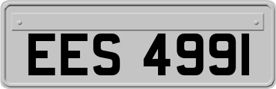 EES4991