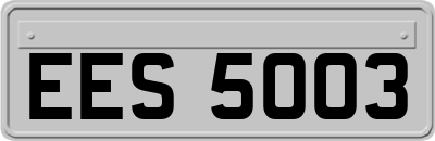 EES5003