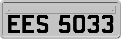EES5033