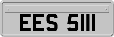 EES5111