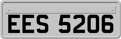 EES5206