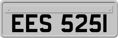 EES5251