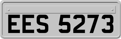 EES5273
