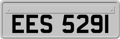 EES5291