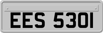 EES5301
