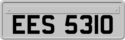 EES5310