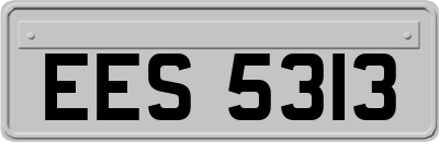 EES5313