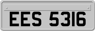 EES5316