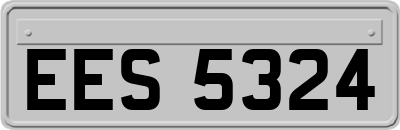 EES5324