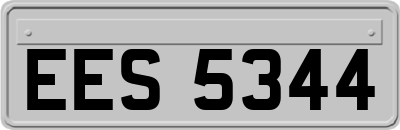 EES5344