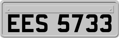 EES5733