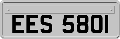 EES5801