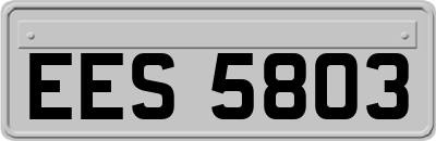 EES5803