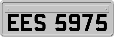 EES5975