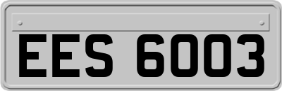 EES6003