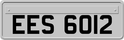 EES6012