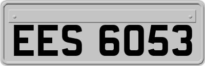 EES6053