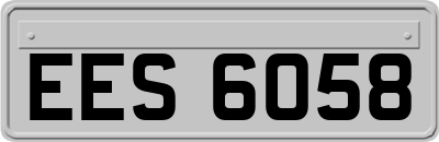 EES6058