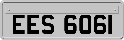 EES6061