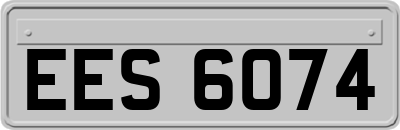 EES6074