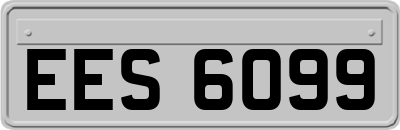 EES6099