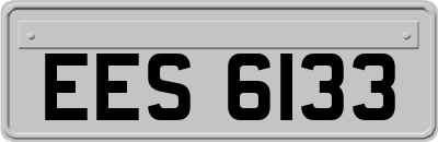 EES6133