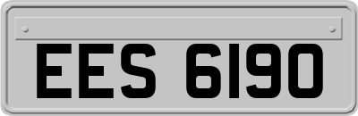 EES6190