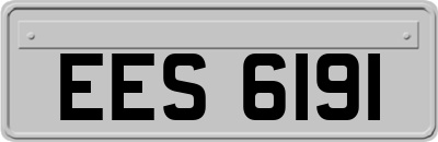 EES6191