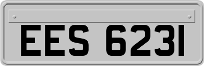 EES6231