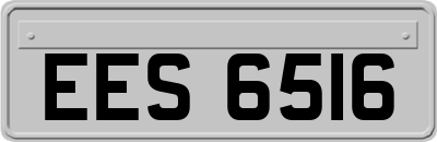 EES6516