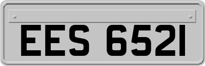 EES6521