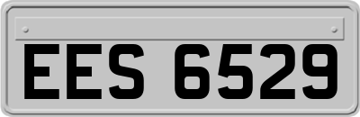 EES6529