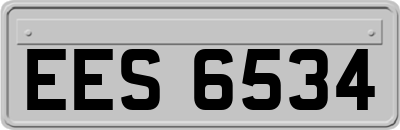 EES6534