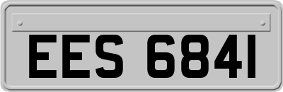 EES6841
