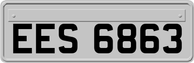 EES6863