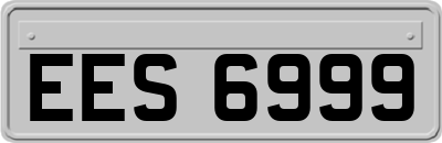 EES6999
