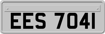 EES7041