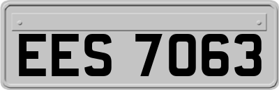 EES7063