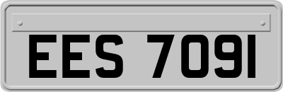 EES7091