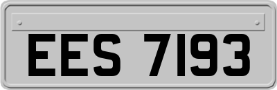 EES7193