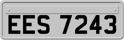 EES7243