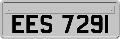 EES7291