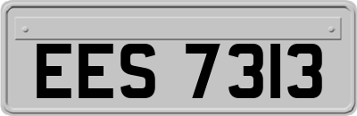 EES7313