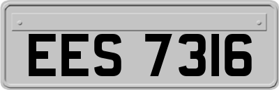EES7316
