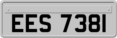 EES7381