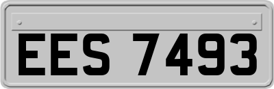 EES7493