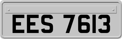 EES7613