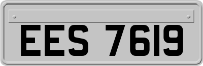 EES7619
